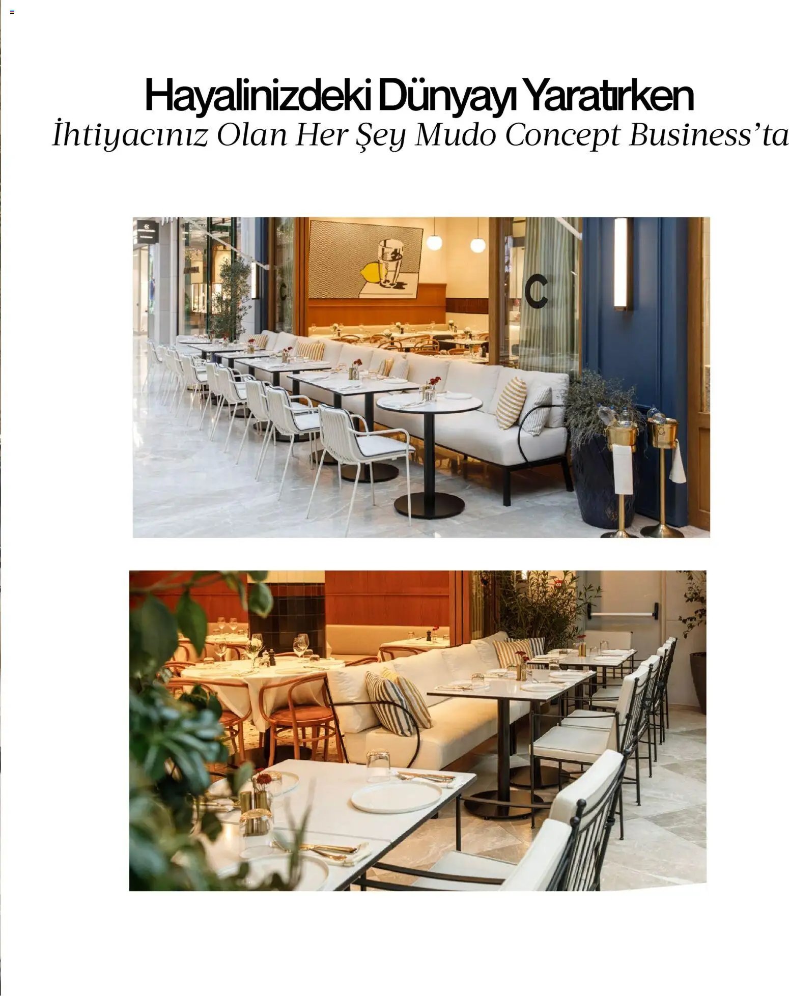 Mudo - Katalog  Ağaç 2026