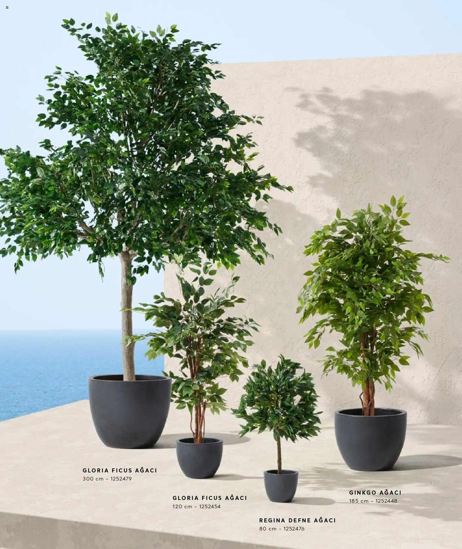 Mudo - Katalog  Ağaç 2026