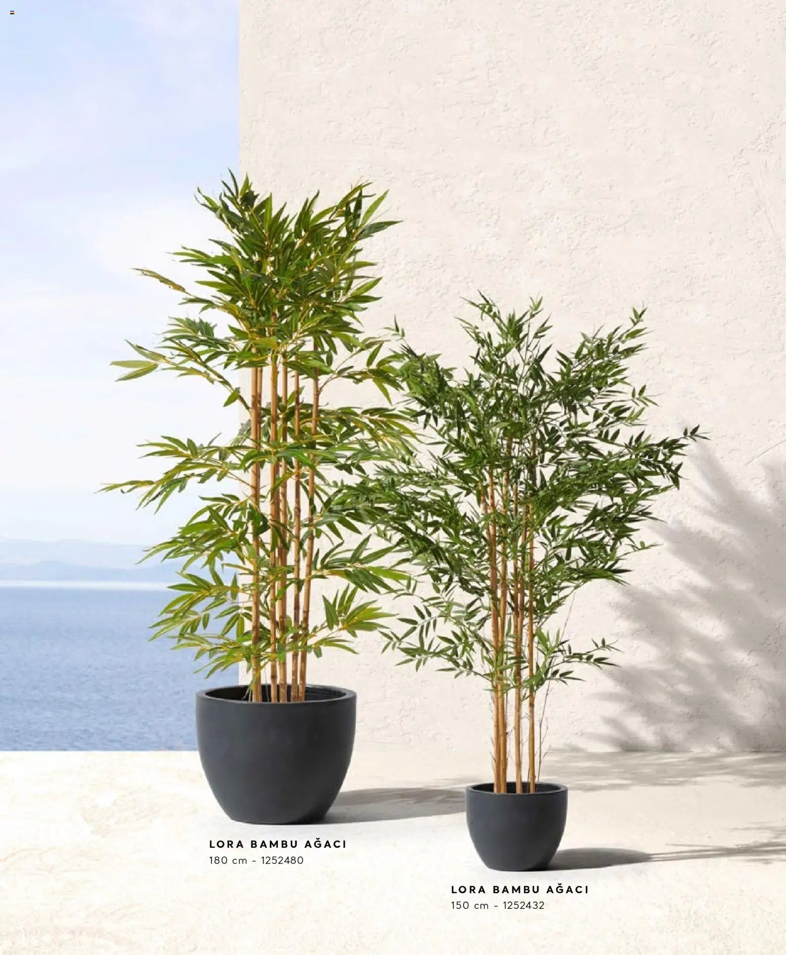 Mudo - Katalog  Ağaç 2026