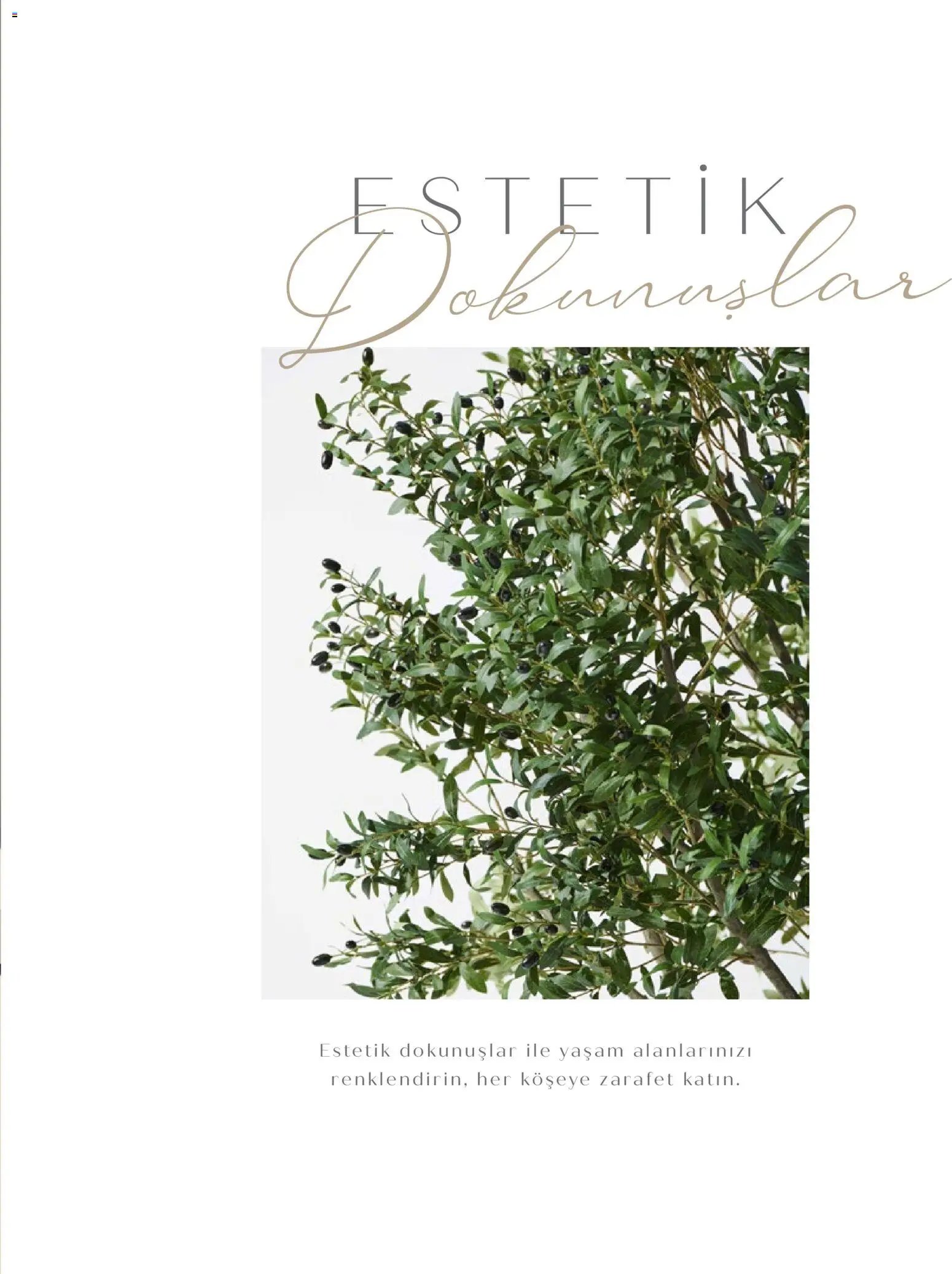 Mudo - Katalog  Ağaç 2026