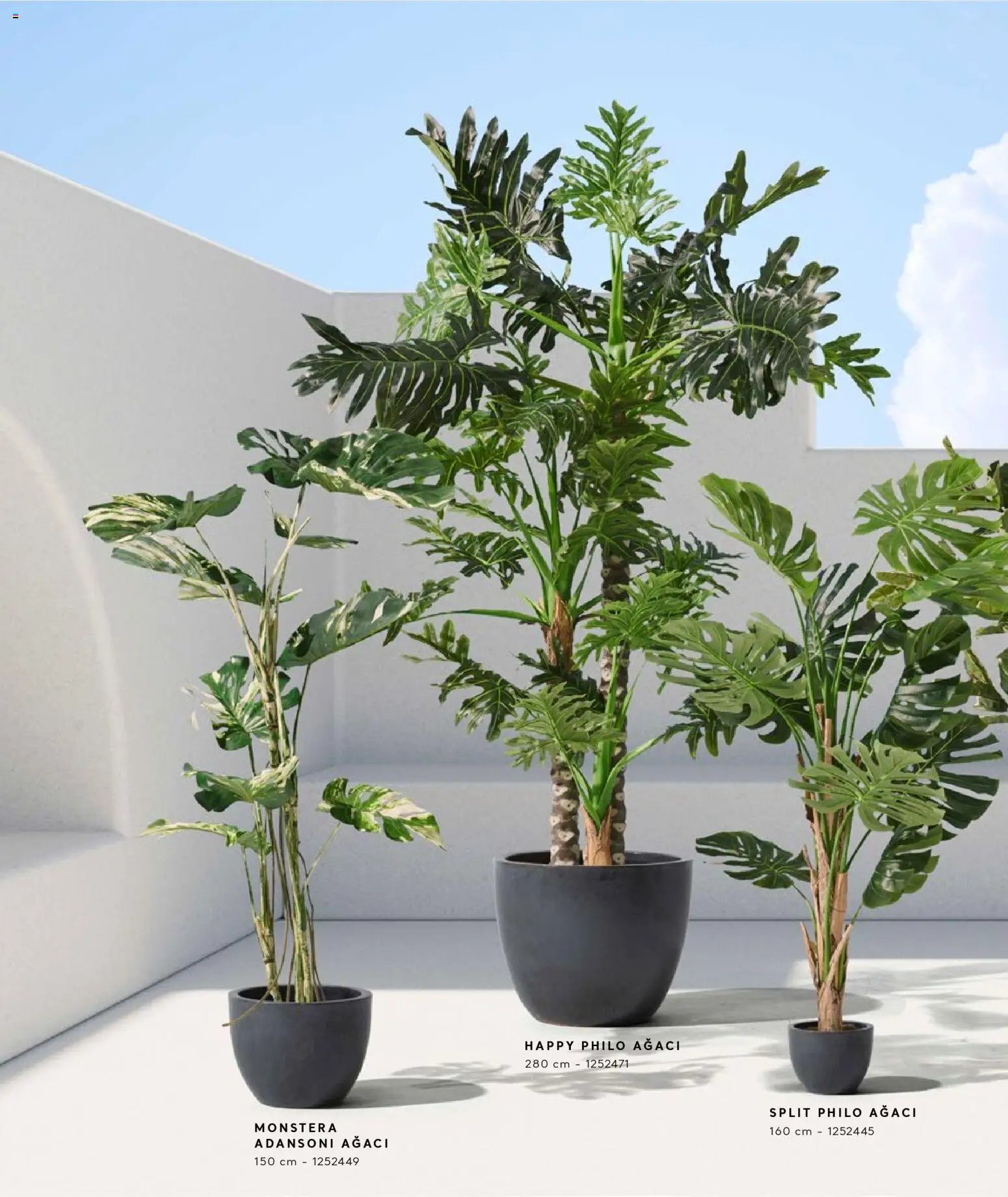 Mudo - Katalog  Ağaç 2026