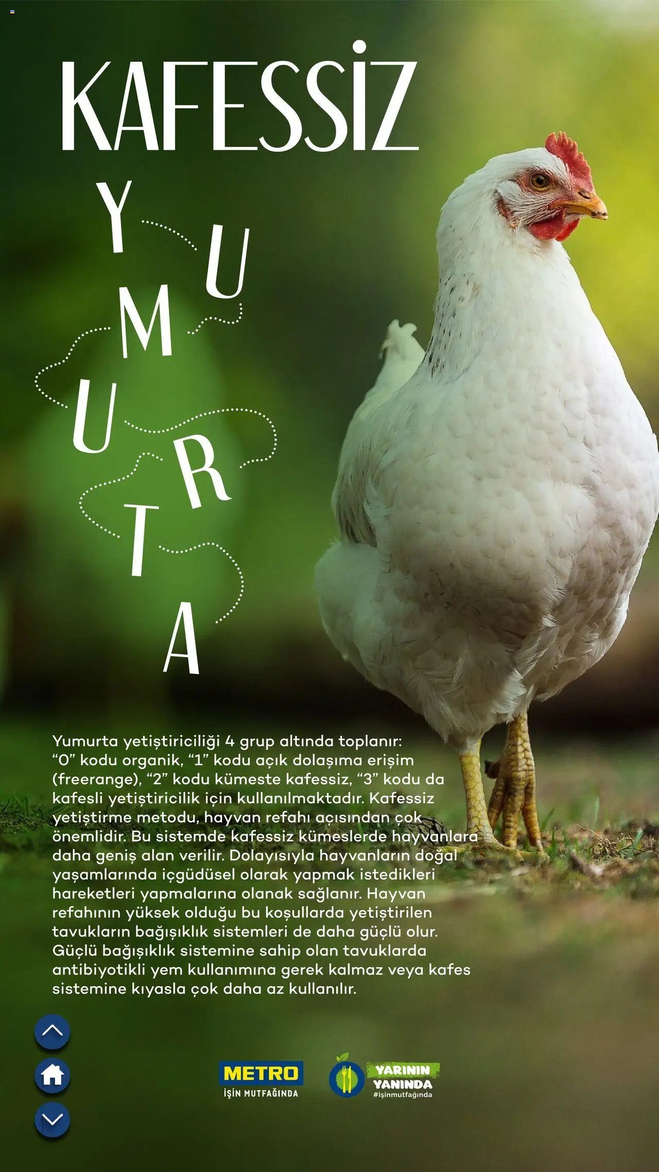 Metro Sürdürülebilir Ürünler Kataloğu