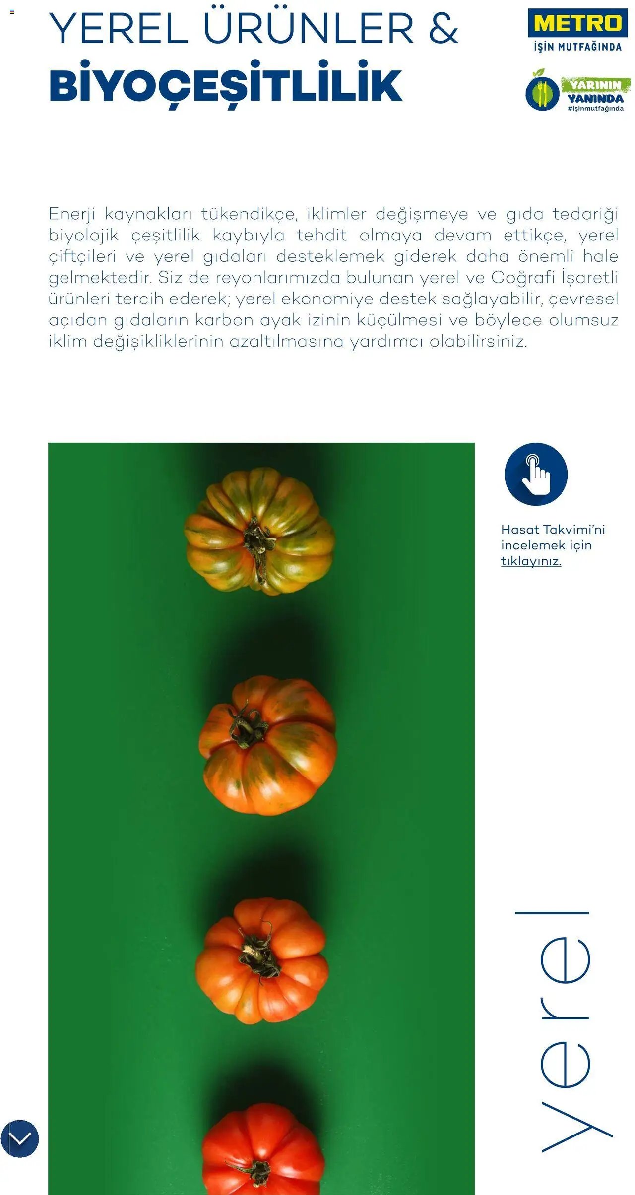 Metro Sürdürülebilir Ürünler Kataloğu