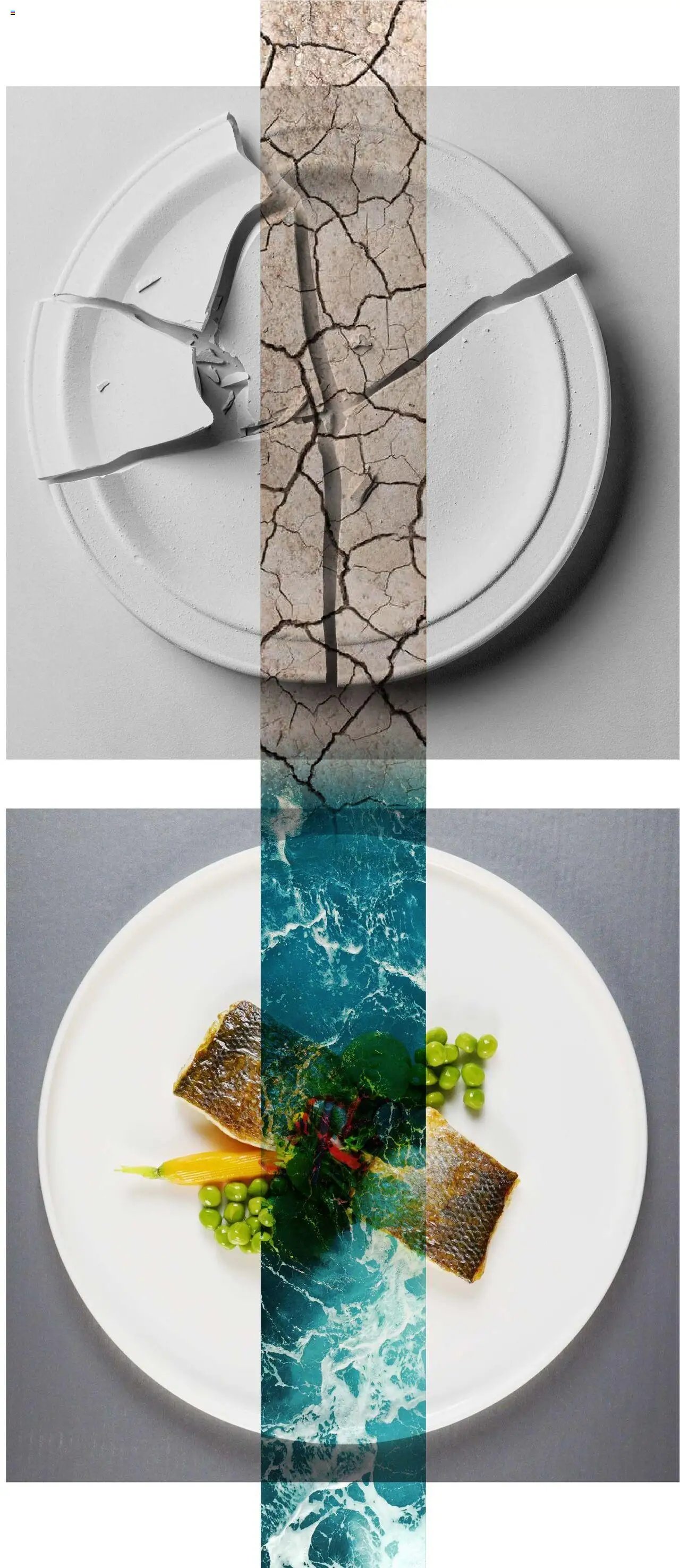 Metro Sürdürülebilir Ürünler Kataloğu