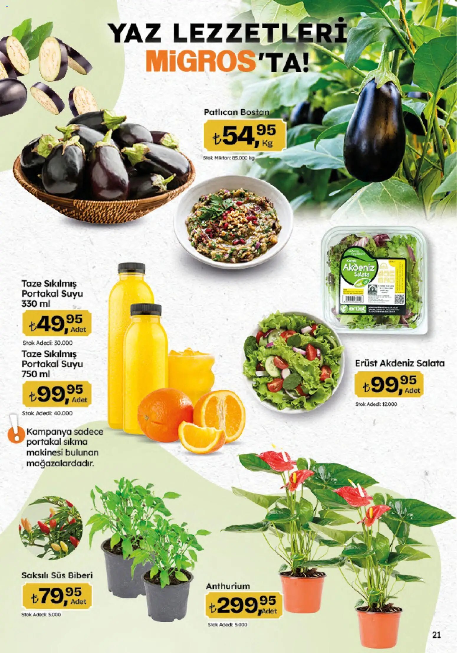Migros Katalog - 5M Migroskop Dijital