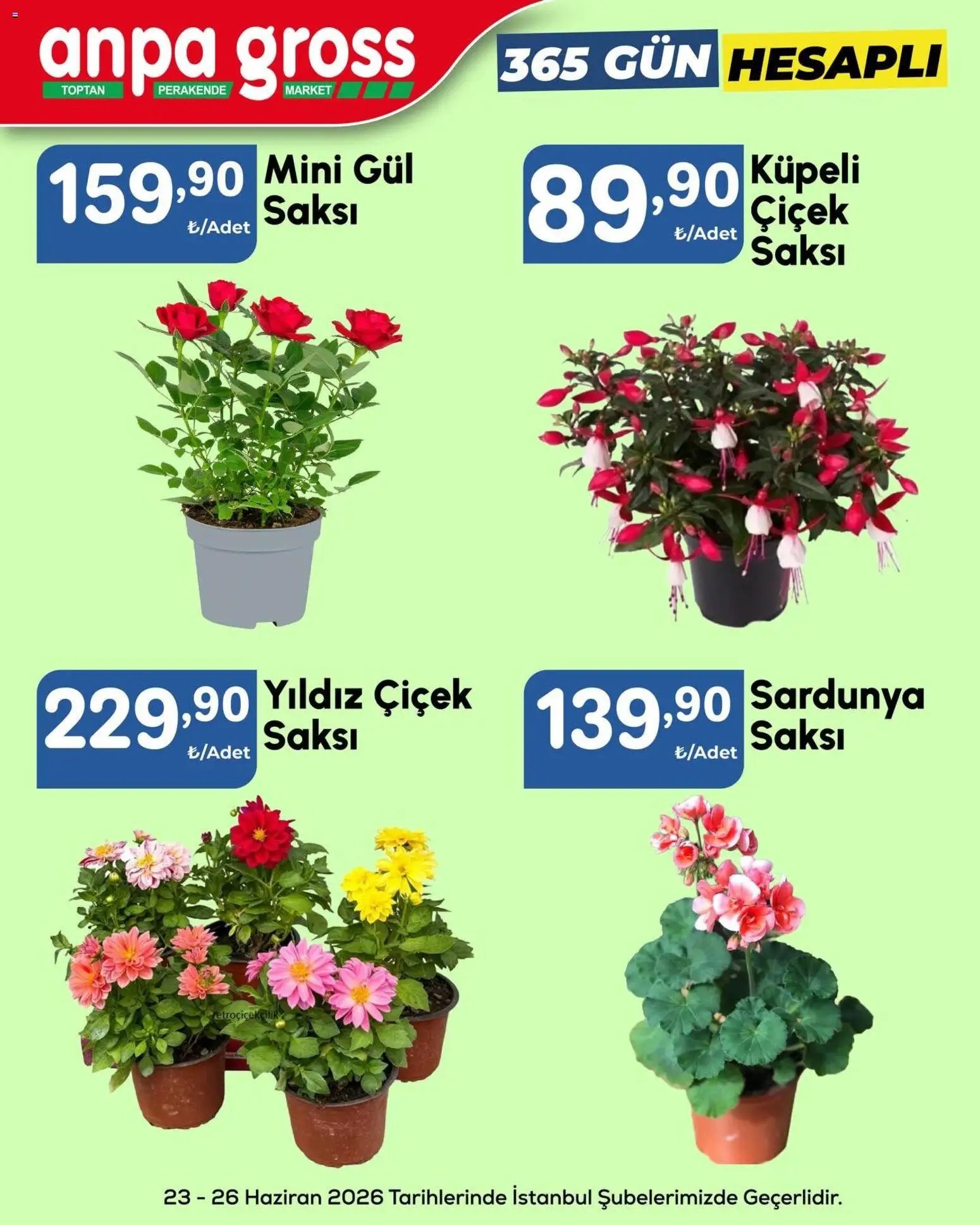 Anpa Gross İndirim