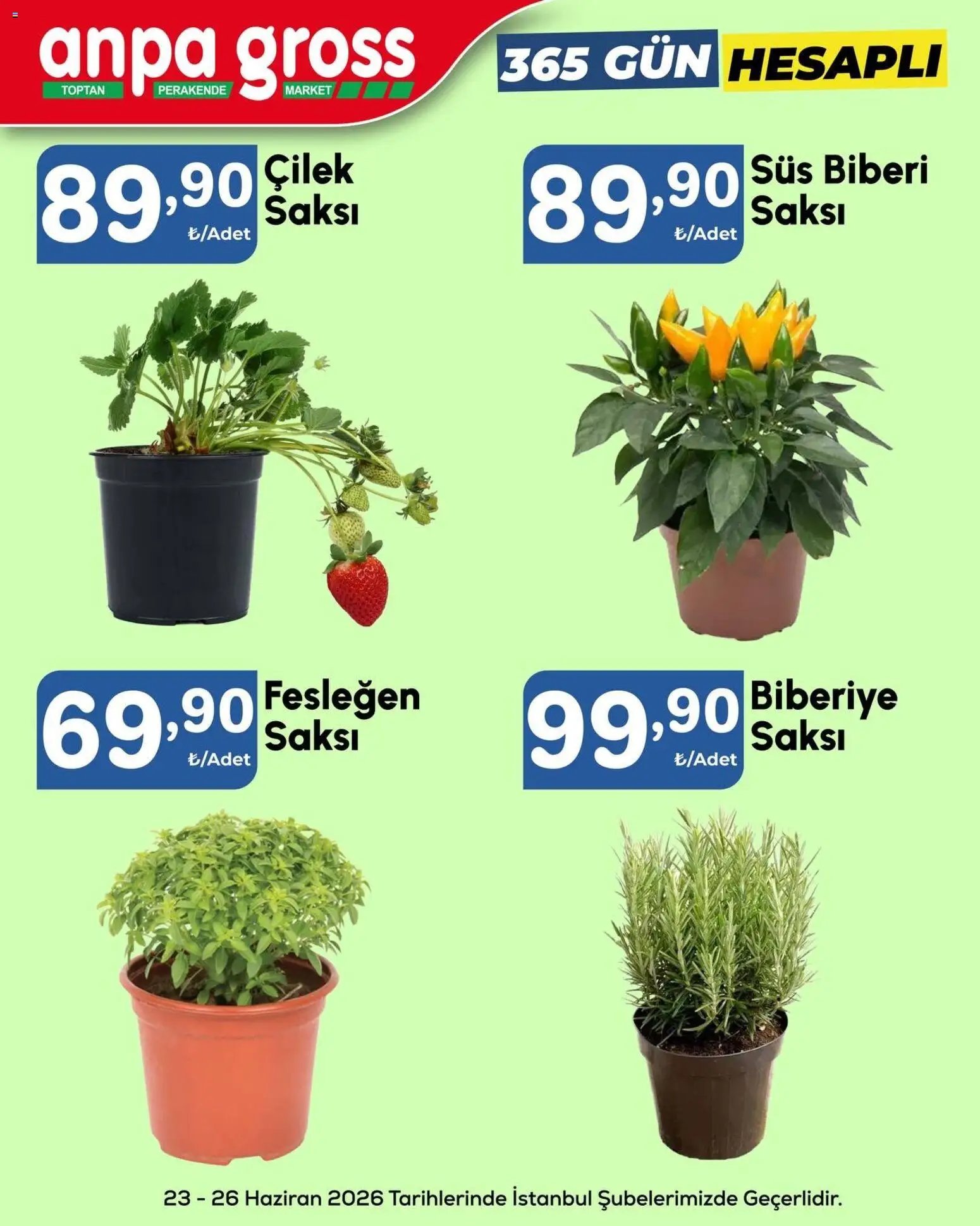 Anpa Gross İndirim