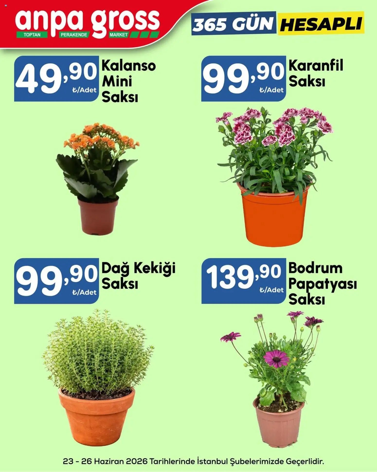 Anpa Gross İndirim