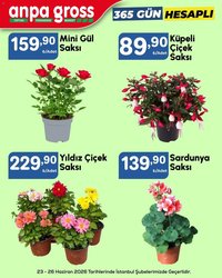 Anpa Gross İndirim