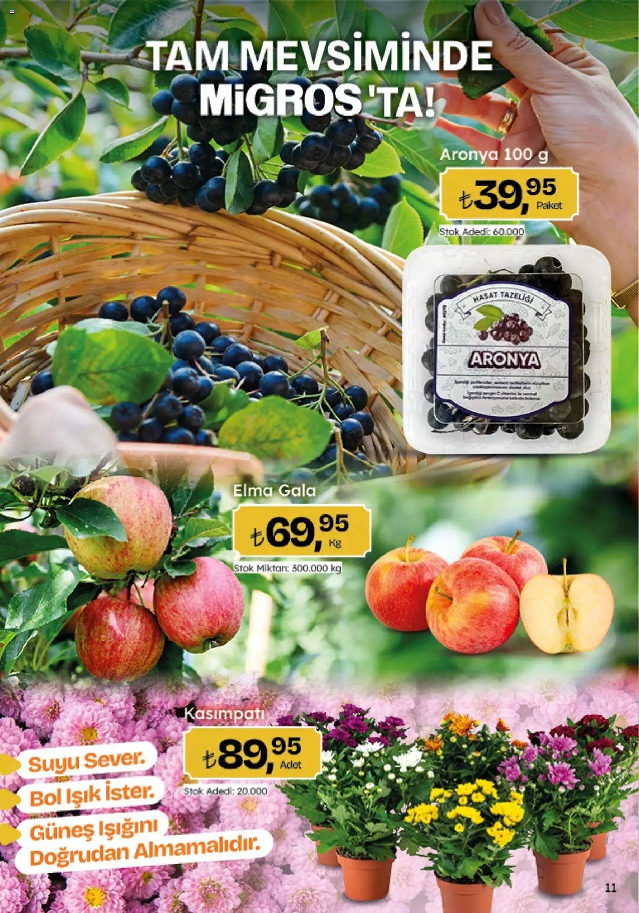 Migros Katalog - Migroskop