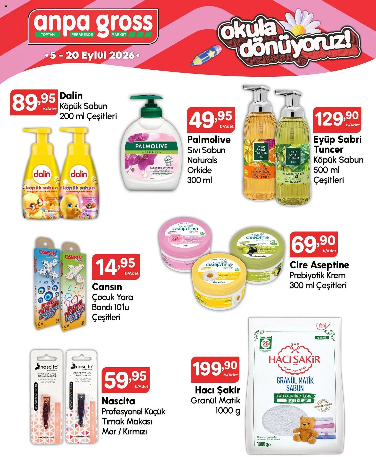 Anpa Gross - Okula dönüş