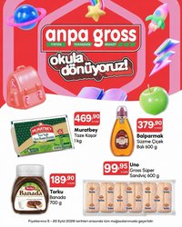 Anpa Gross - Okula dönüş