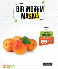 Biçen Market - Bir İndirim MaSalı - meyve
