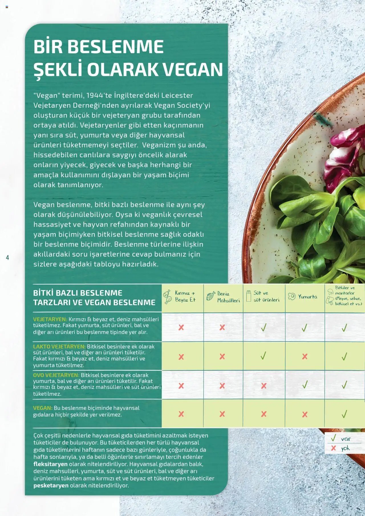 Metro Bitki Bazlı ve Vegan