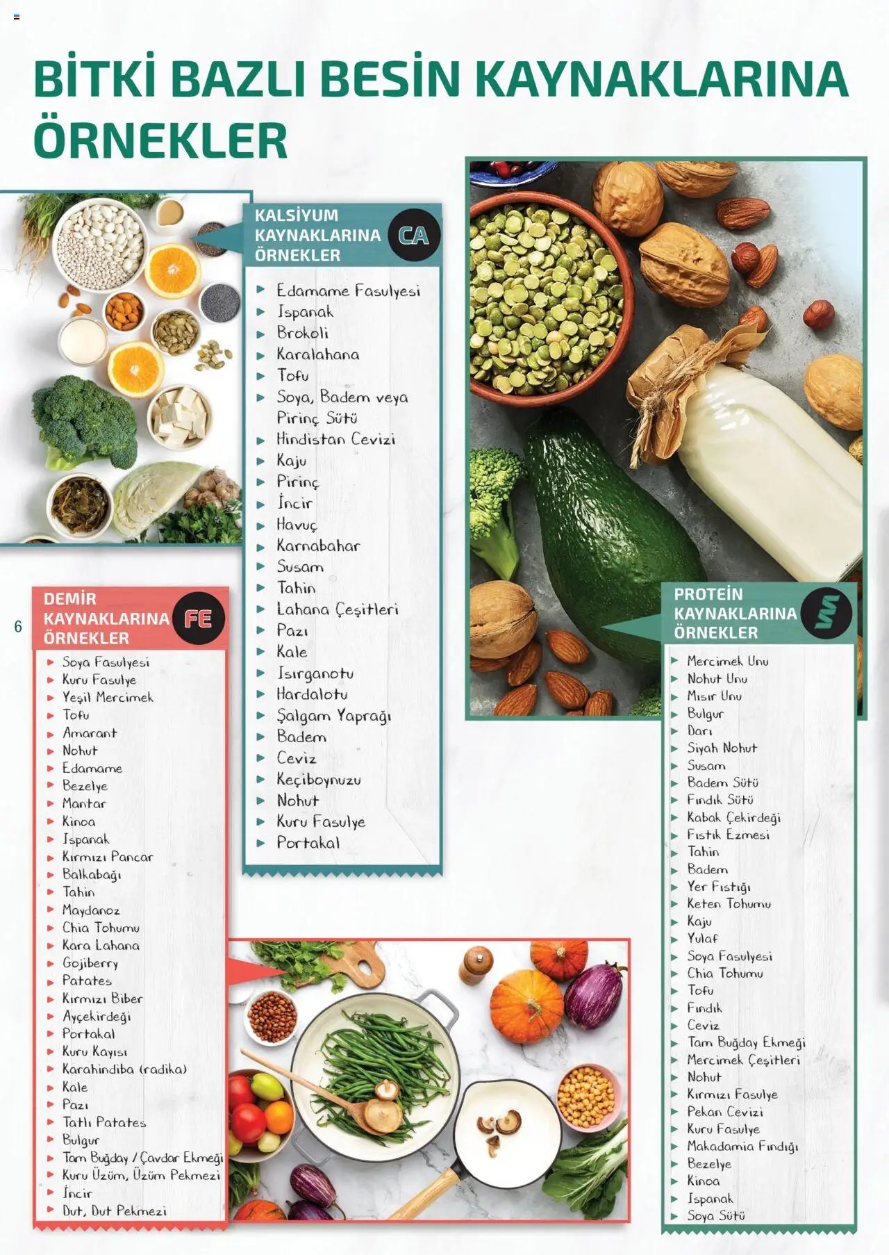 Metro Bitki Bazlı ve Vegan