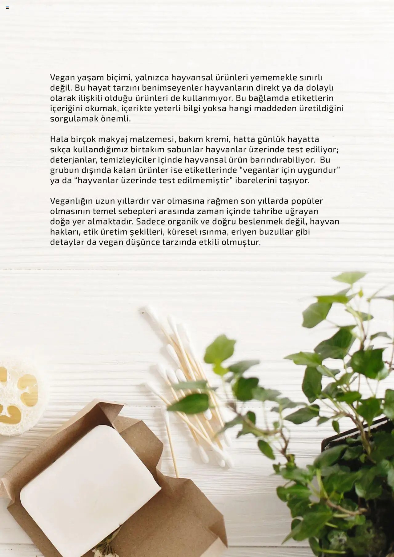 Metro Bitki Bazlı ve Vegan