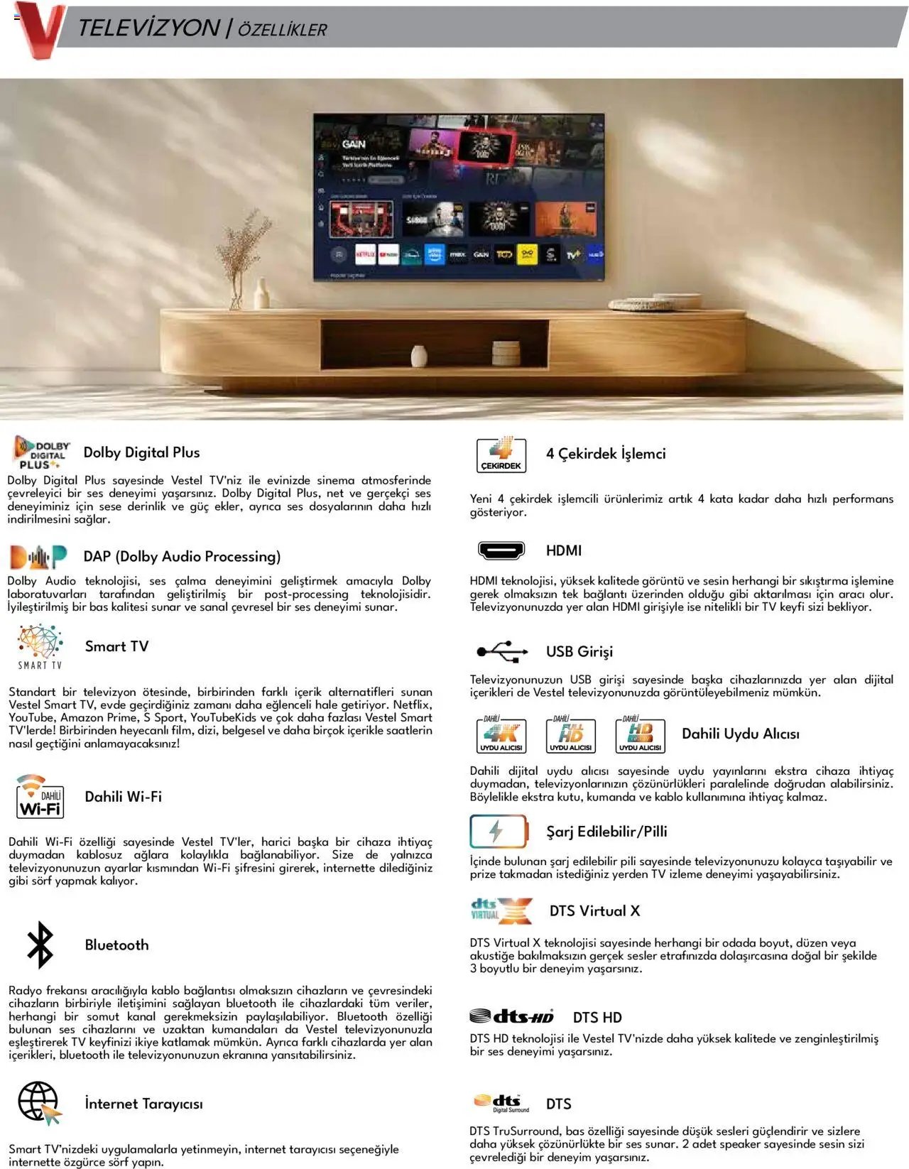 Vestel - Tüketici Elektroniği