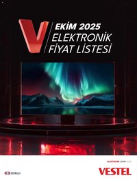Vestel - Tüketici Elektroniği