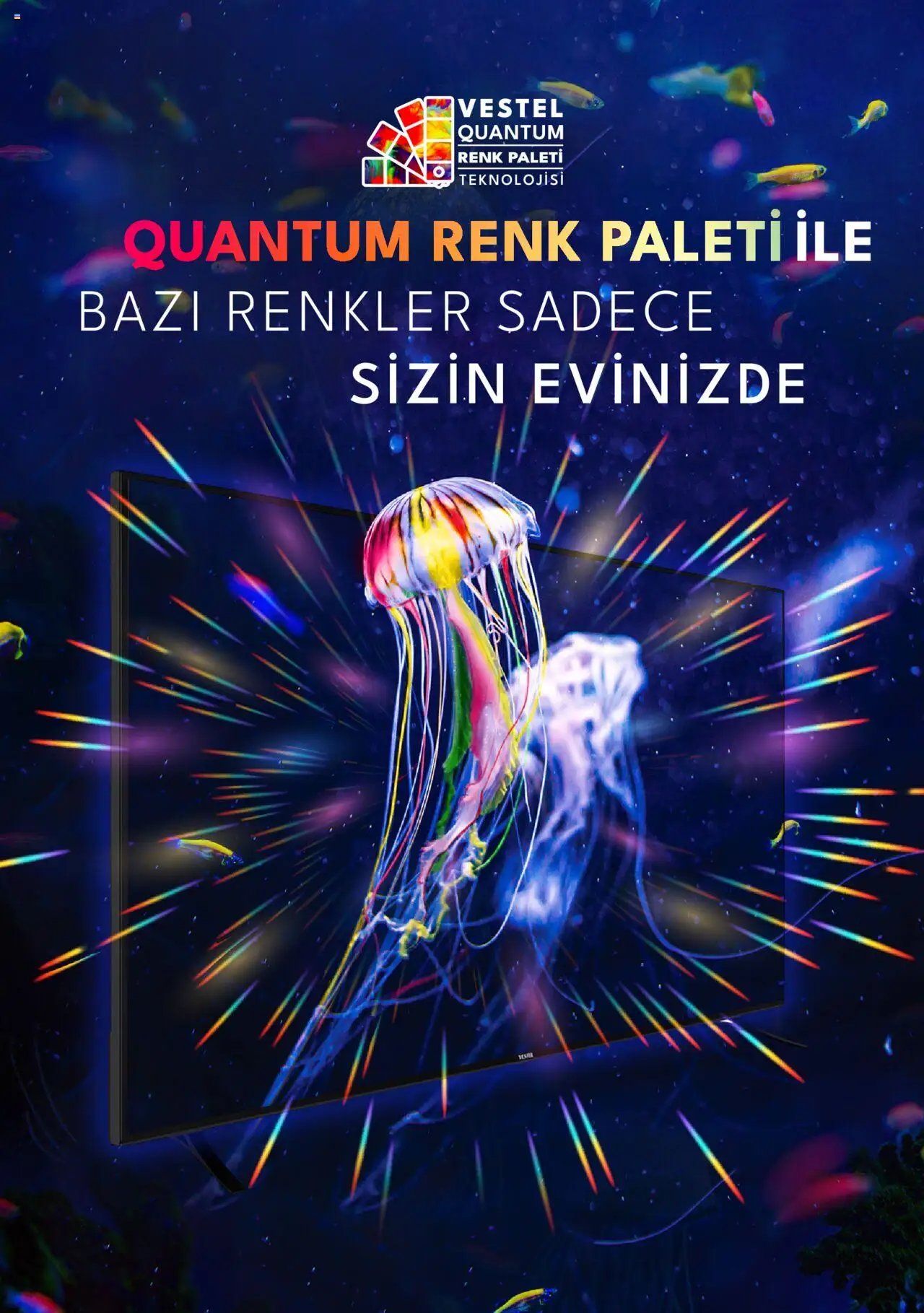 Vestel Tüketici Elektroniği Katalog