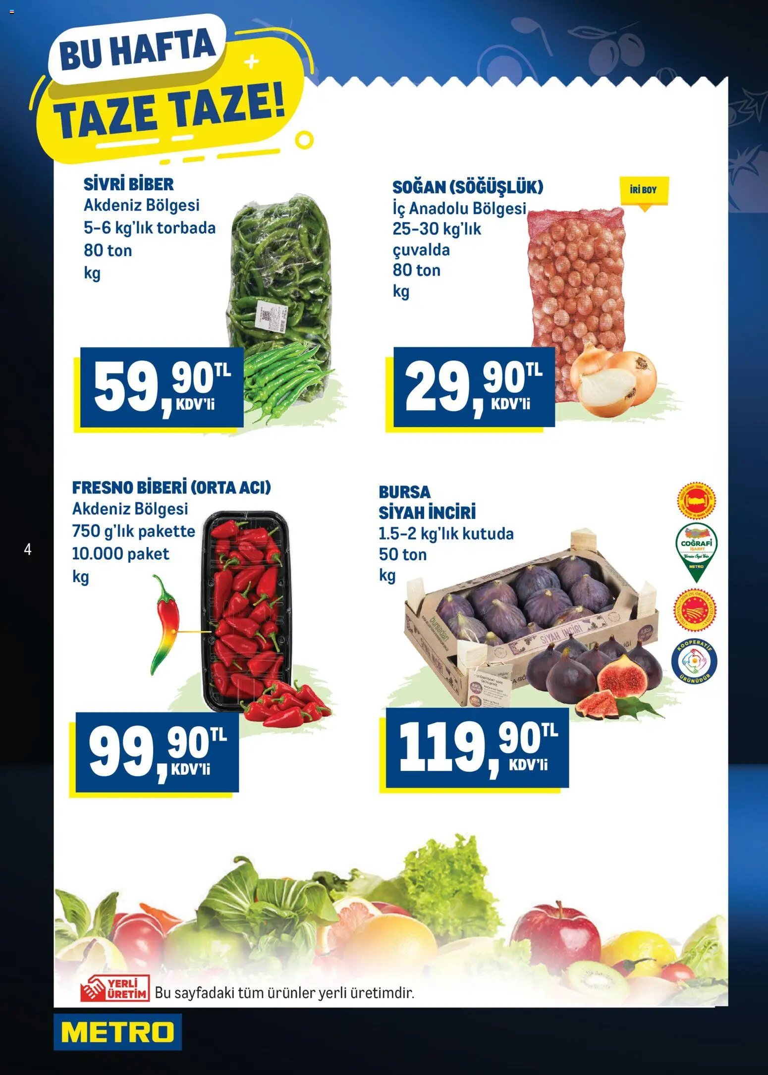 Metro Katalog