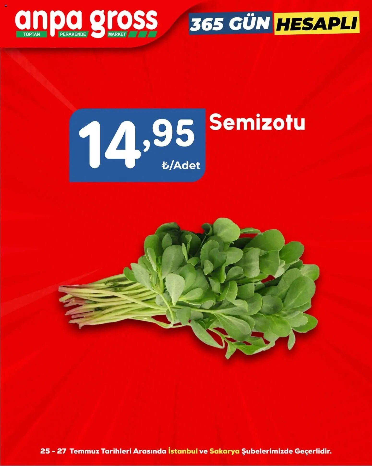 Anpa Gross - Sebze ve meyve