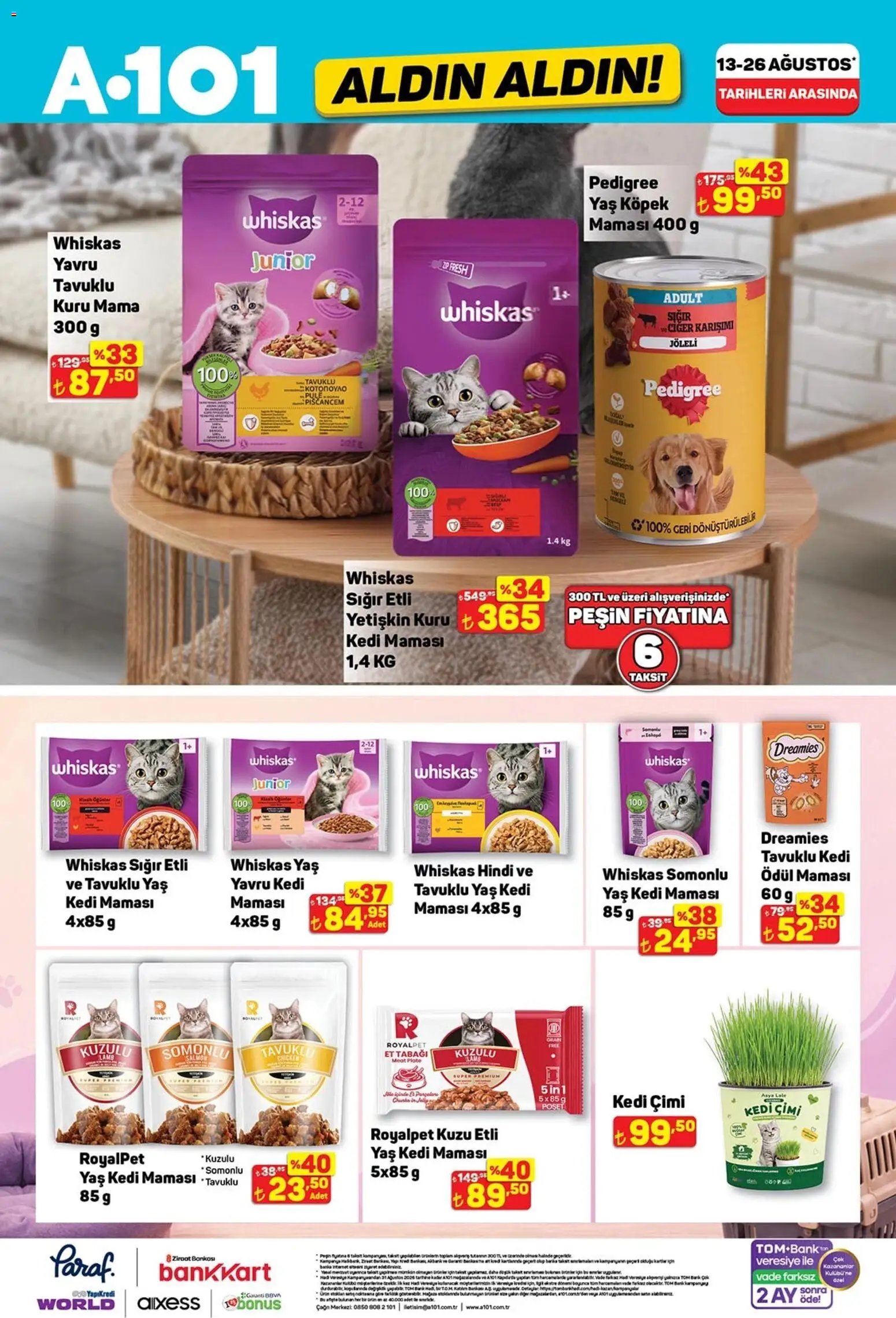 A101 - Katalog Aldın Aldın