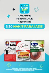 A101 - Arti