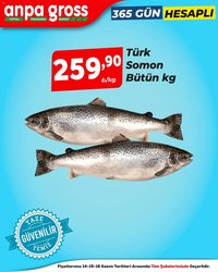 Anpa Gross Levrek, somon, karides ve daha