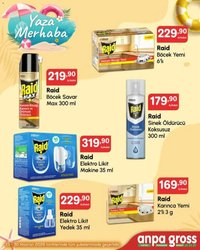 Anpa Gross - Katalog Yaza Merhaba