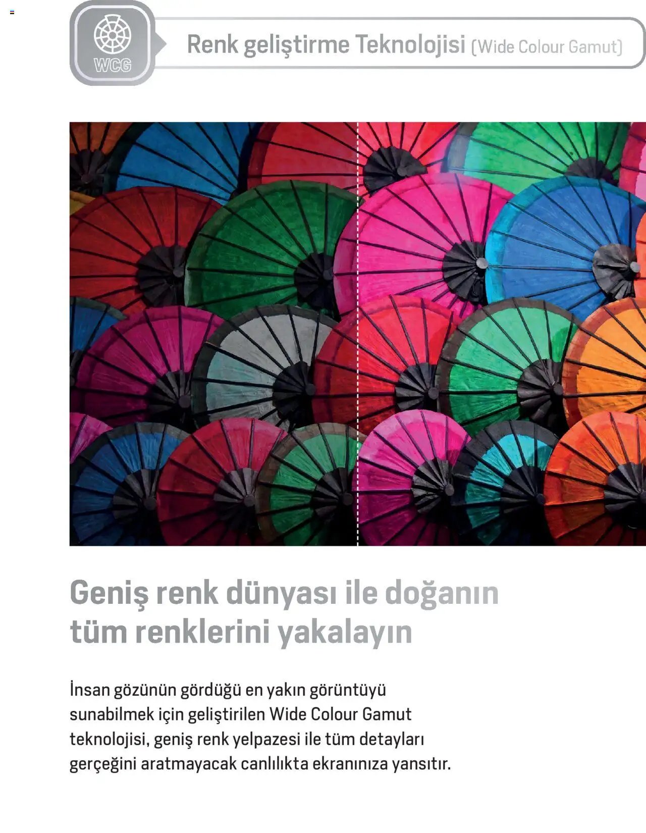 Arçelik Katalog - TV Ürün Gamı