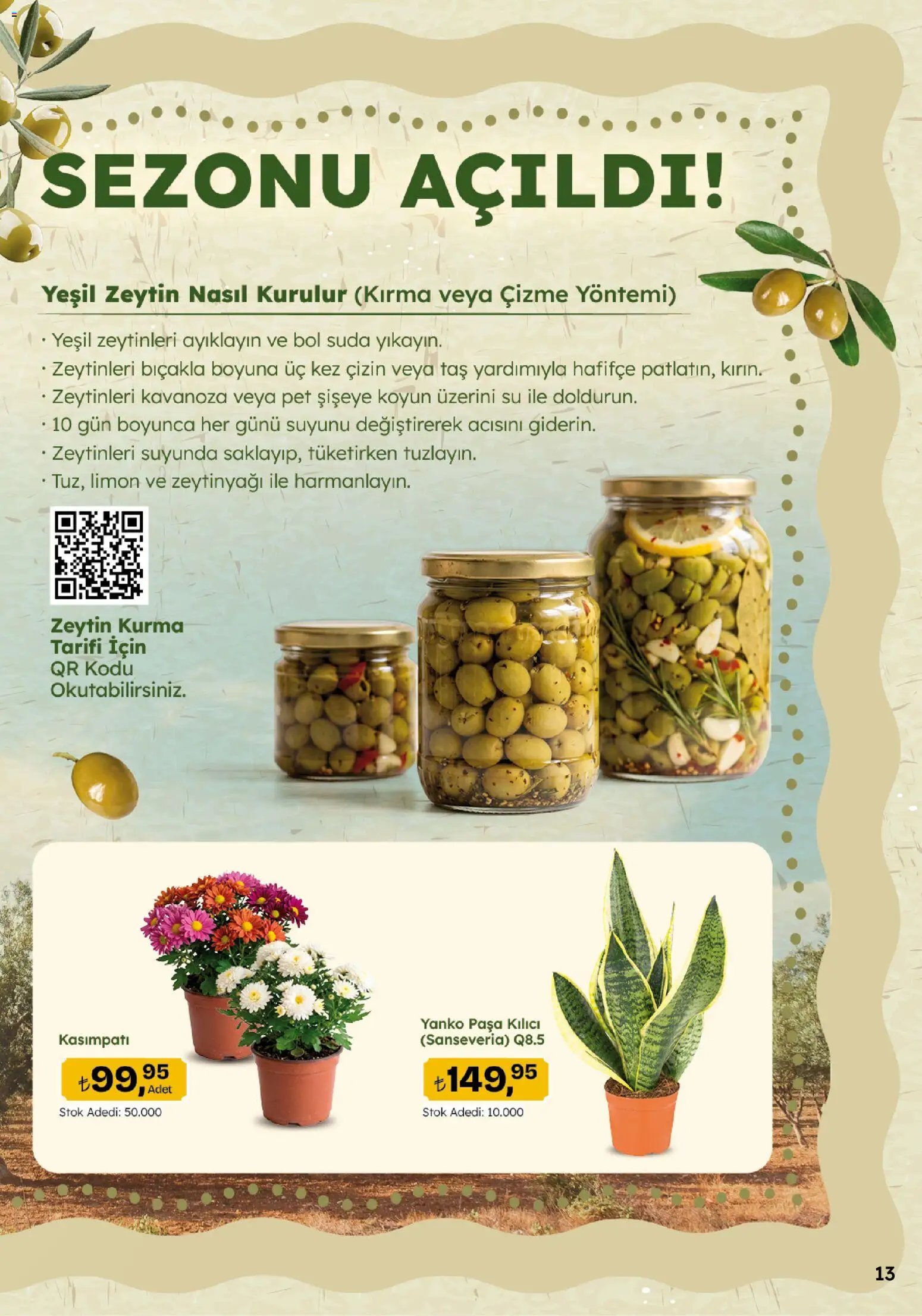Migros Katalog - 5M Migroskop Dijital