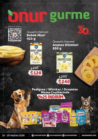 Onur Market - Katalog Gurme