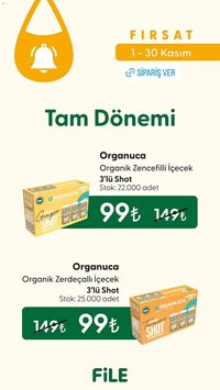 File Market Ayın Ürünü