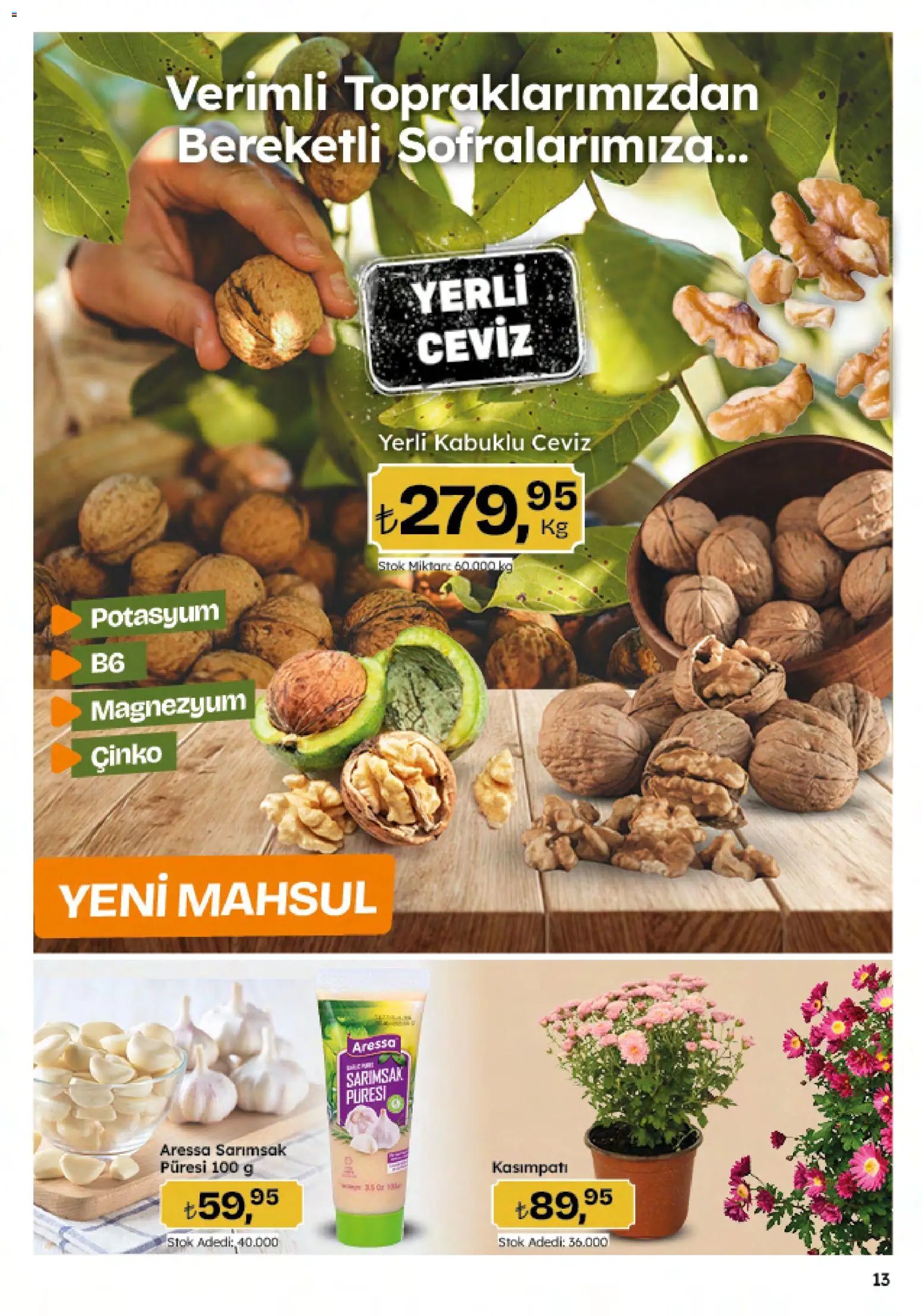 Migros Katalog - 5M Migroskop Dijital