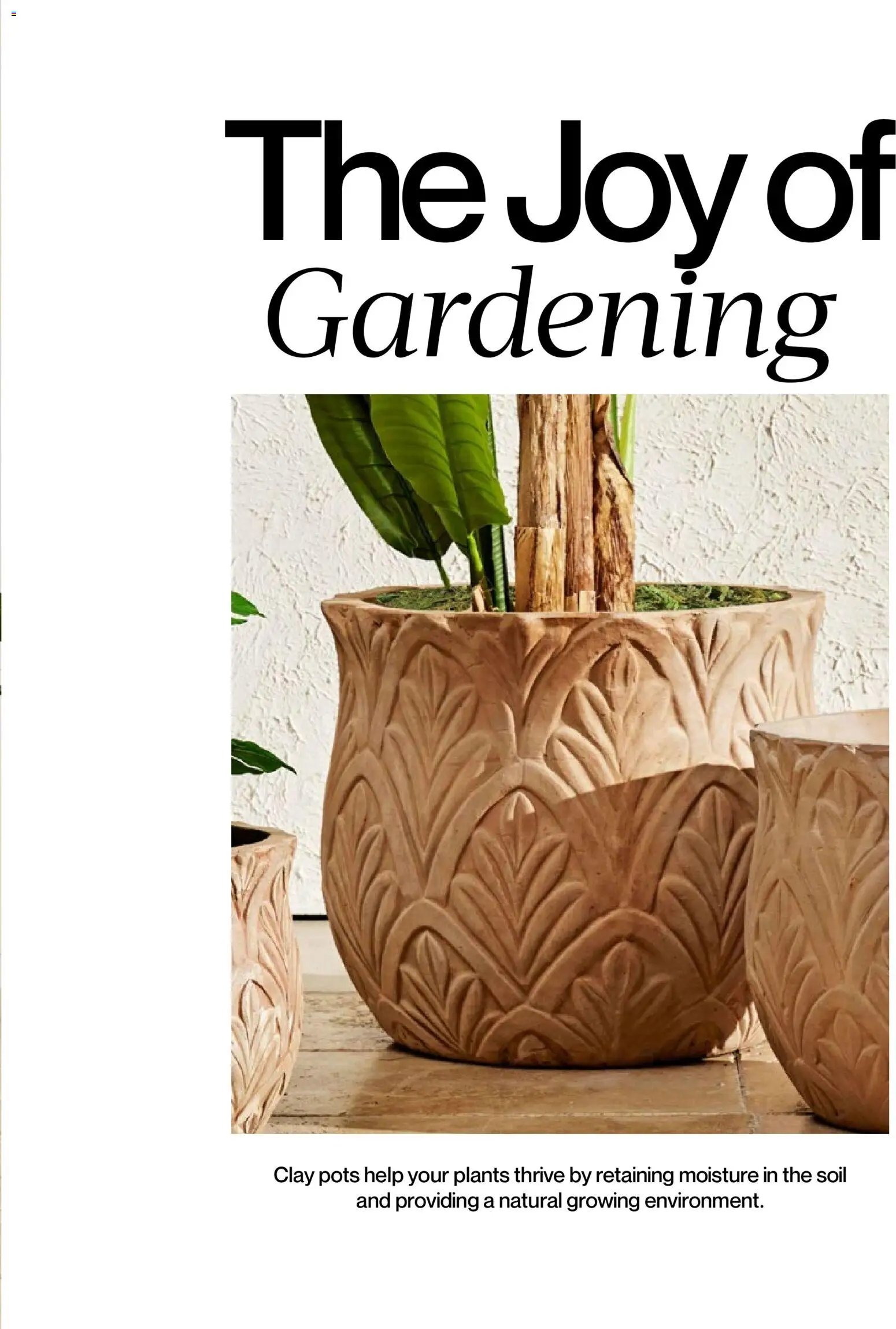 Mudo - Katalog Bahçe 2026 