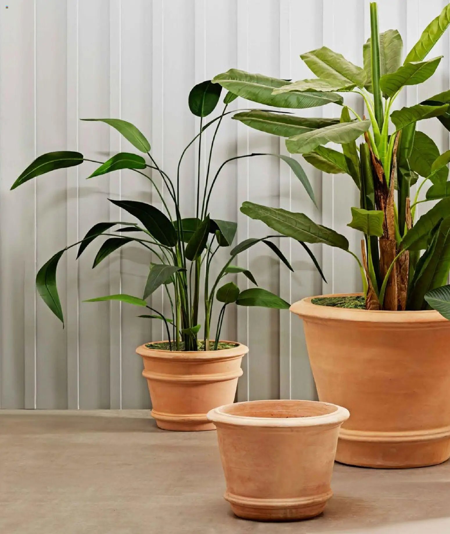 Mudo - Katalog Bahçe 2026 