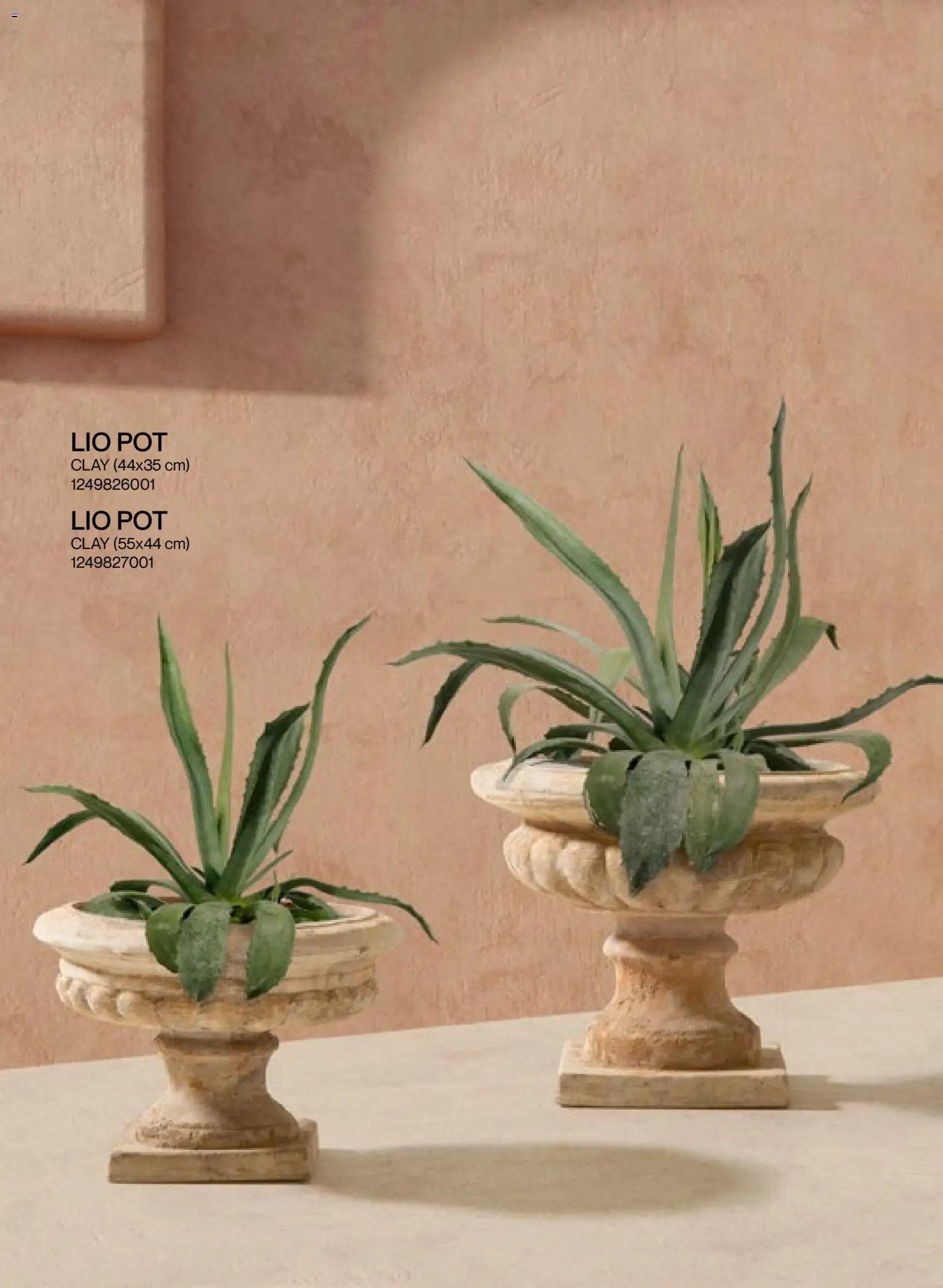 Mudo - Katalog Bahçe 2026 