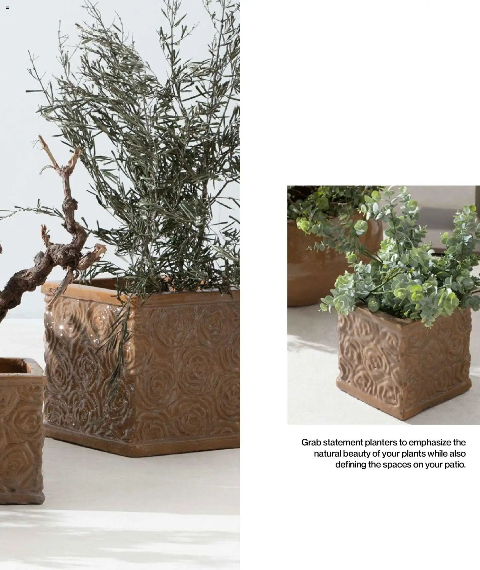 Mudo - Katalog Bahçe 2026 