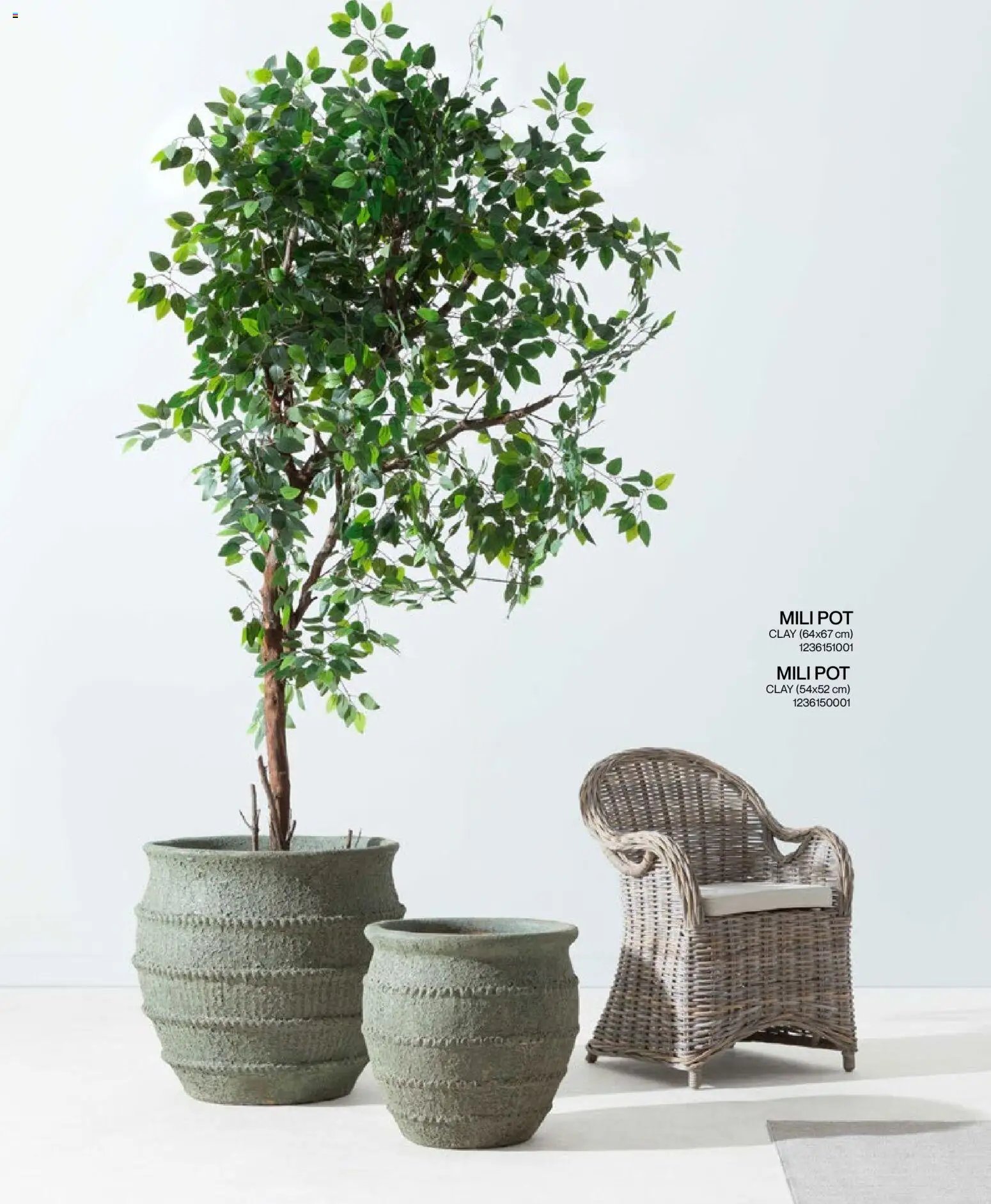 Mudo - Katalog Bahçe 2026 