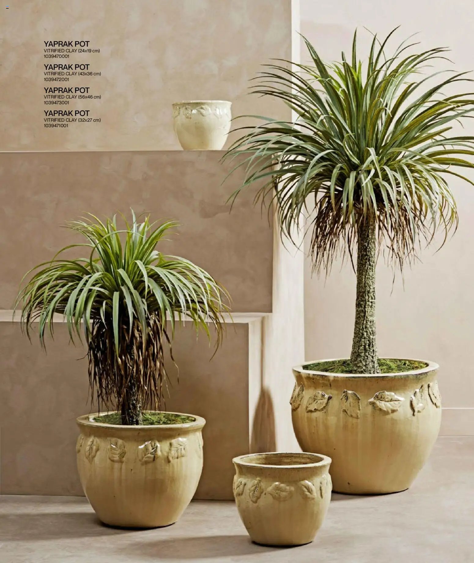 Mudo - Katalog Bahçe 2026 