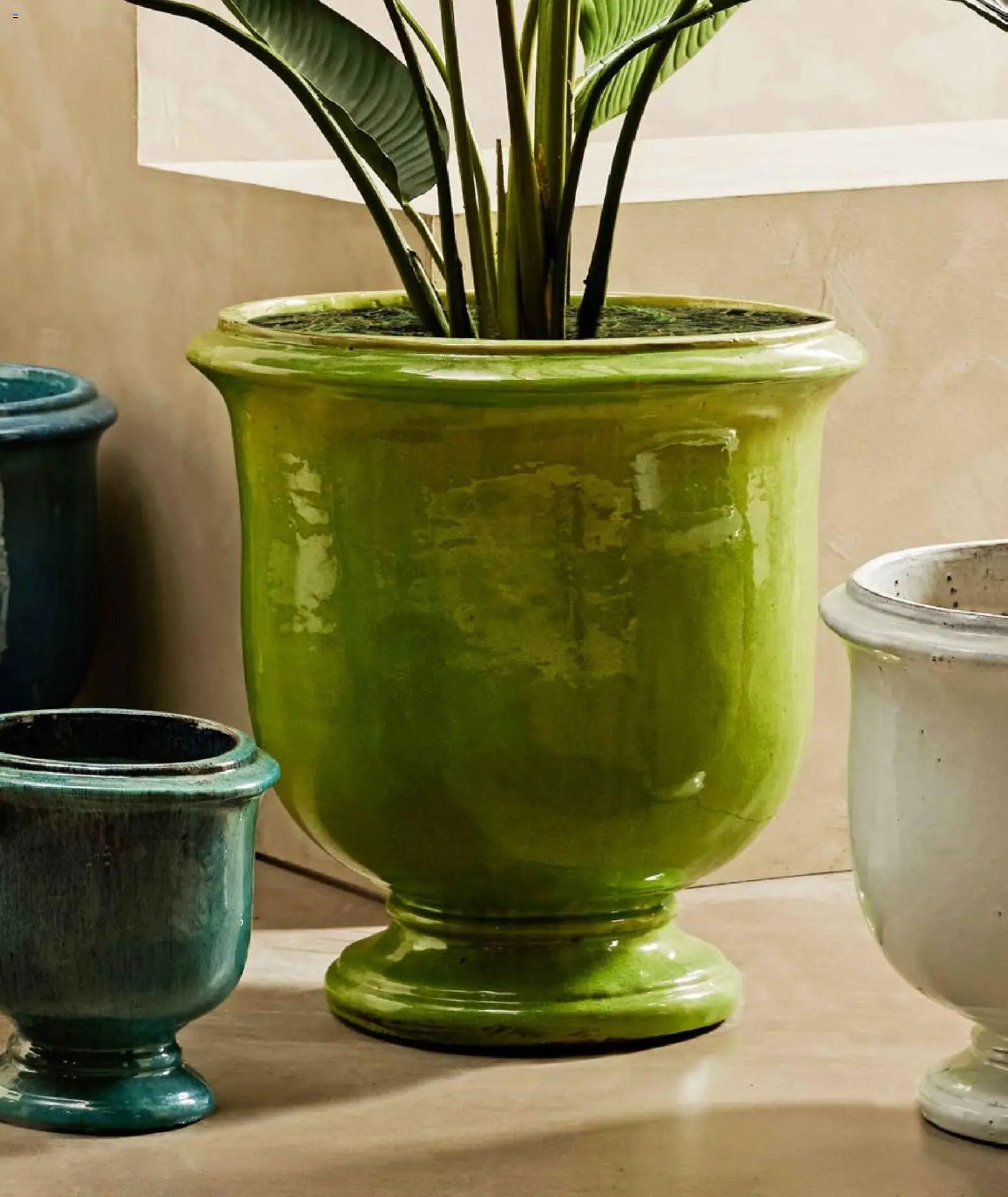 Mudo - Katalog Bahçe 2026 