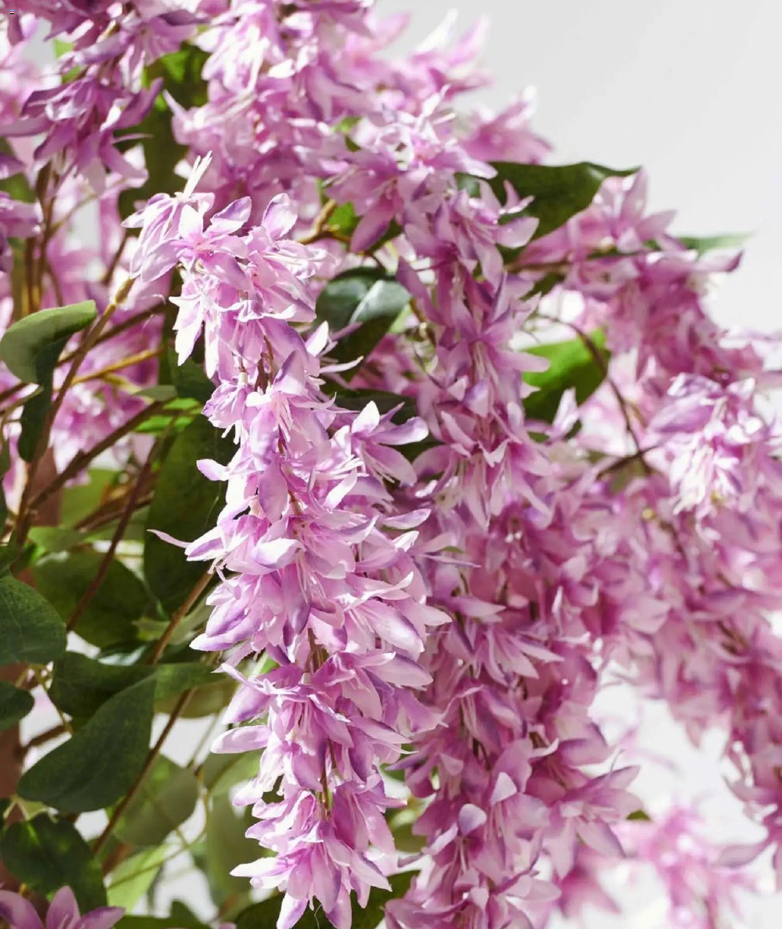 Mudo - Katalog Bahçe 2026 