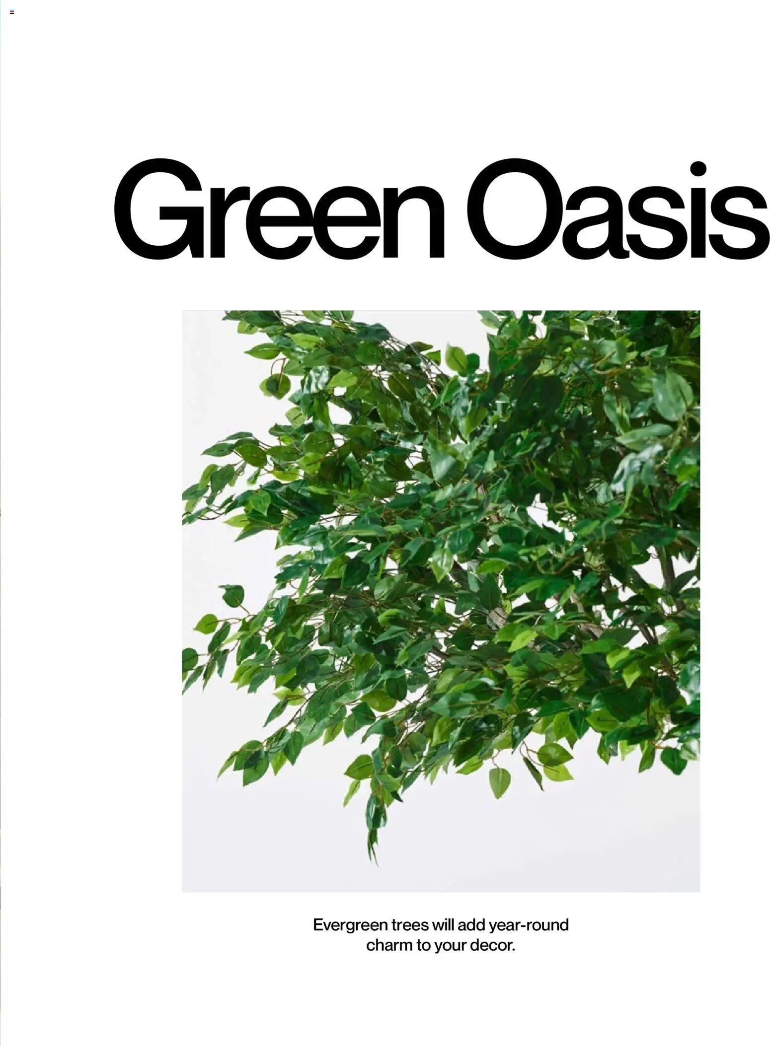 Mudo - Katalog Bahçe 2026 