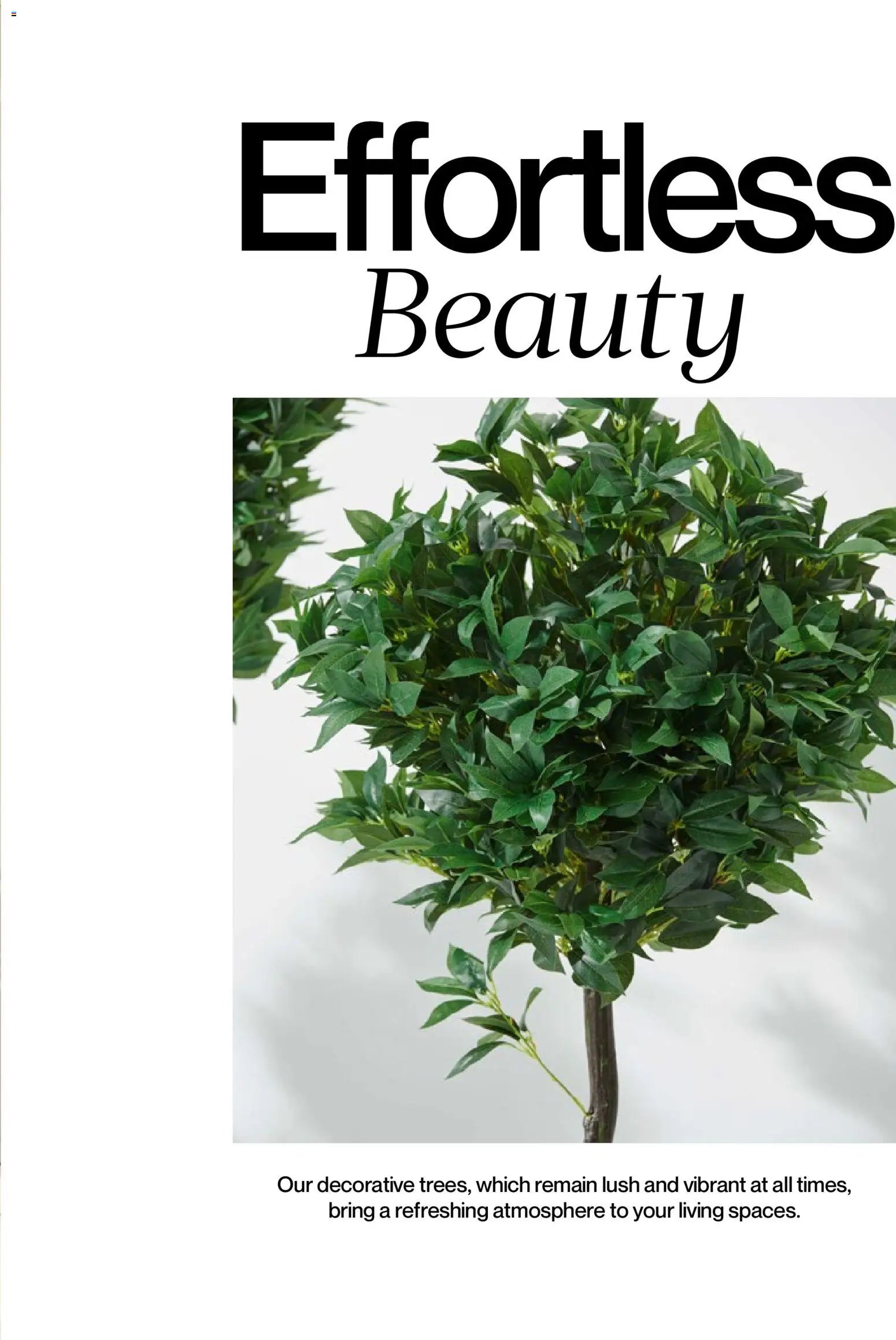 Mudo - Katalog Bahçe 2026 