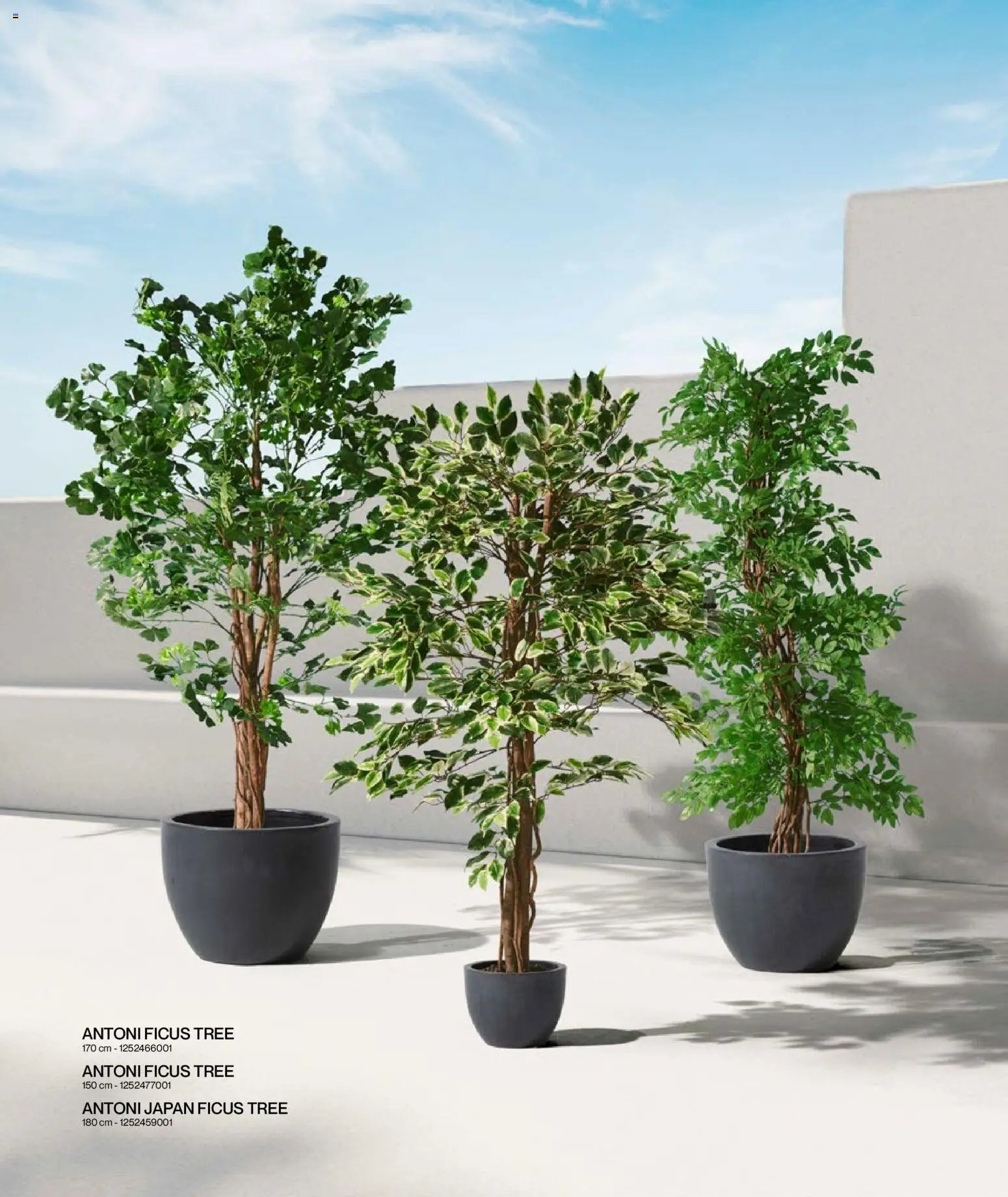 Mudo - Katalog Bahçe 2026 