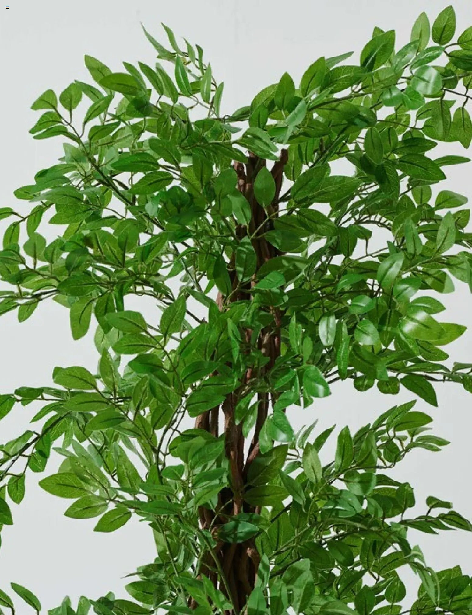 Mudo - Katalog Bahçe 2026 