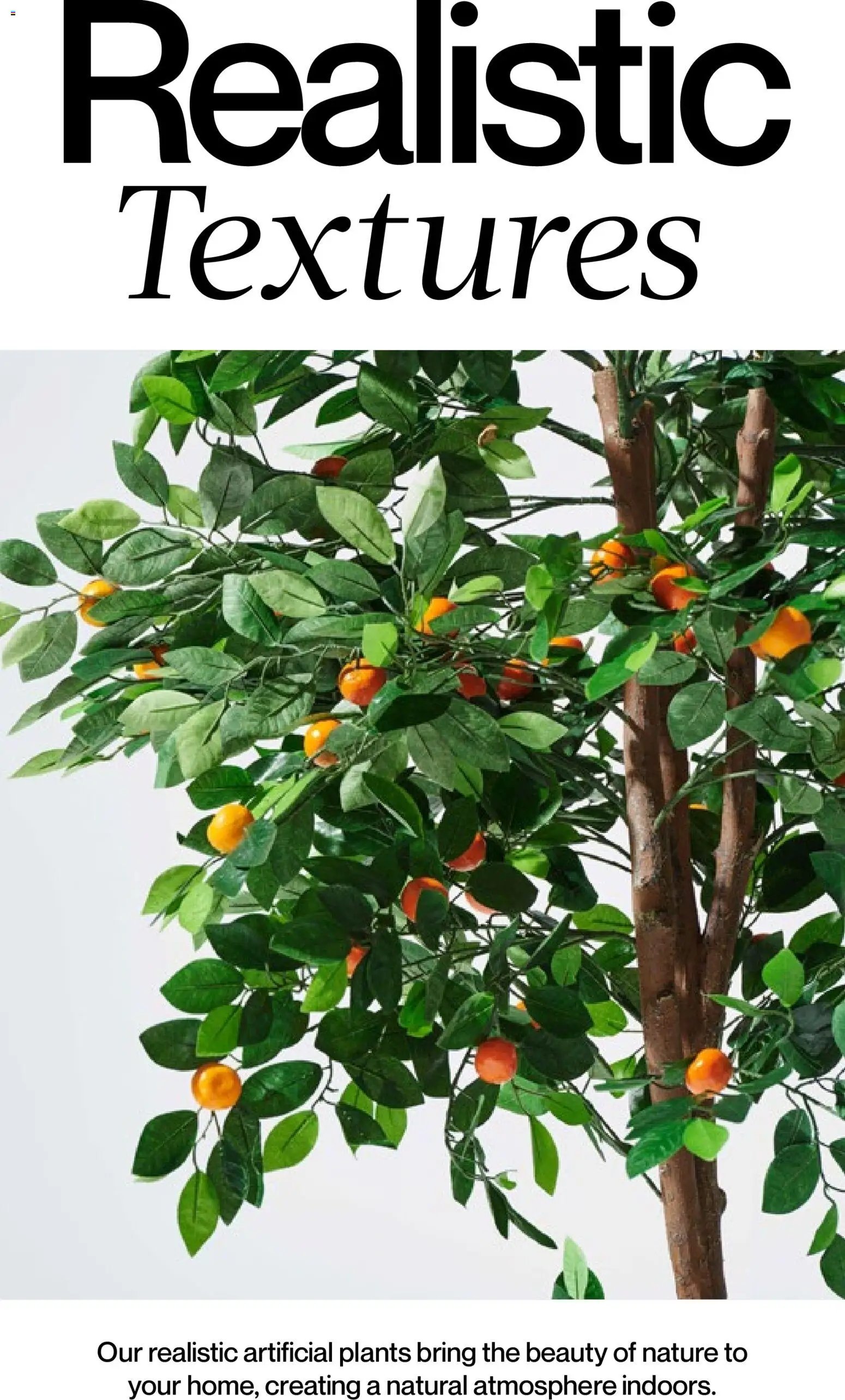 Mudo - Katalog Bahçe 2026 