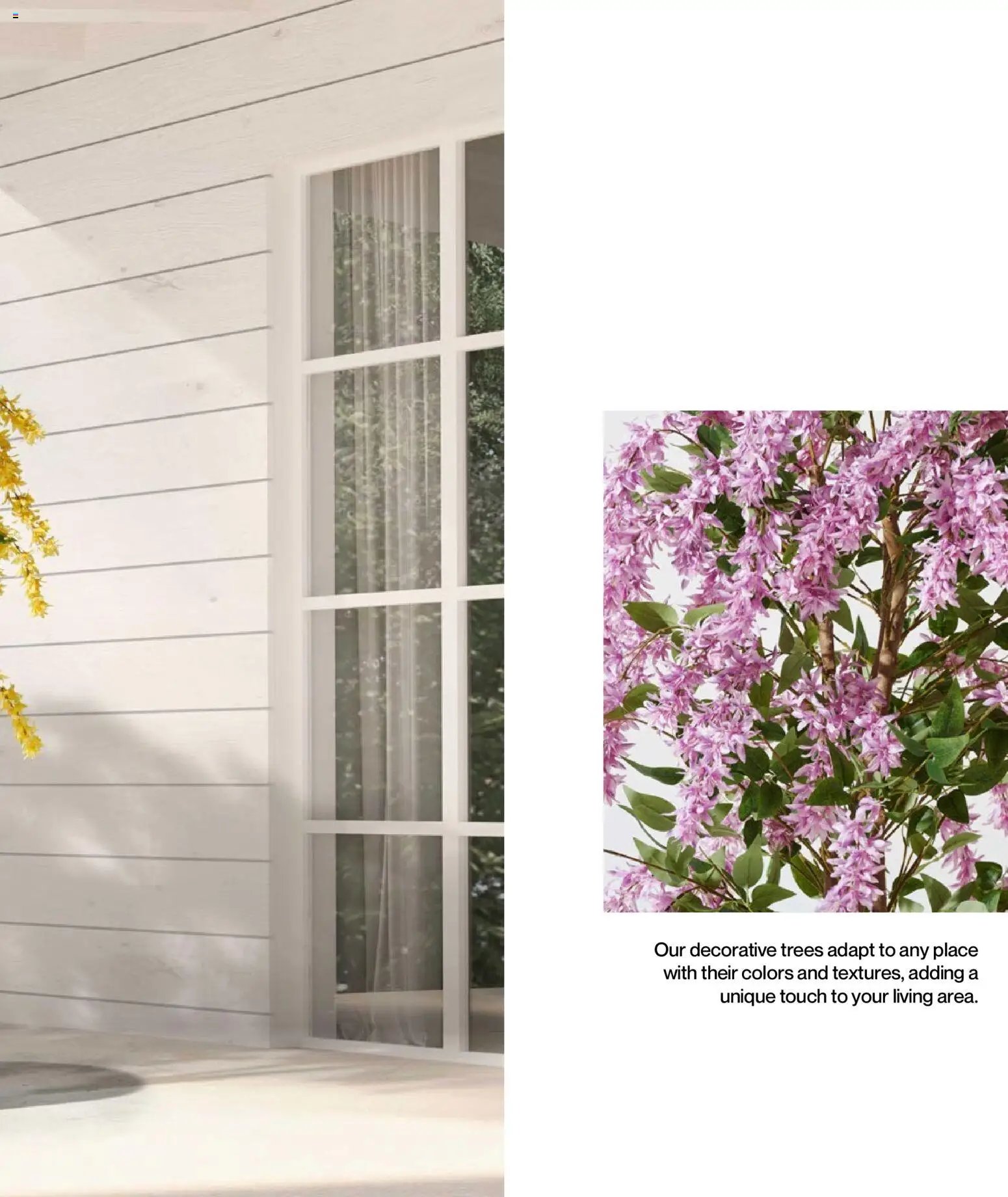 Mudo - Katalog Bahçe 2026 