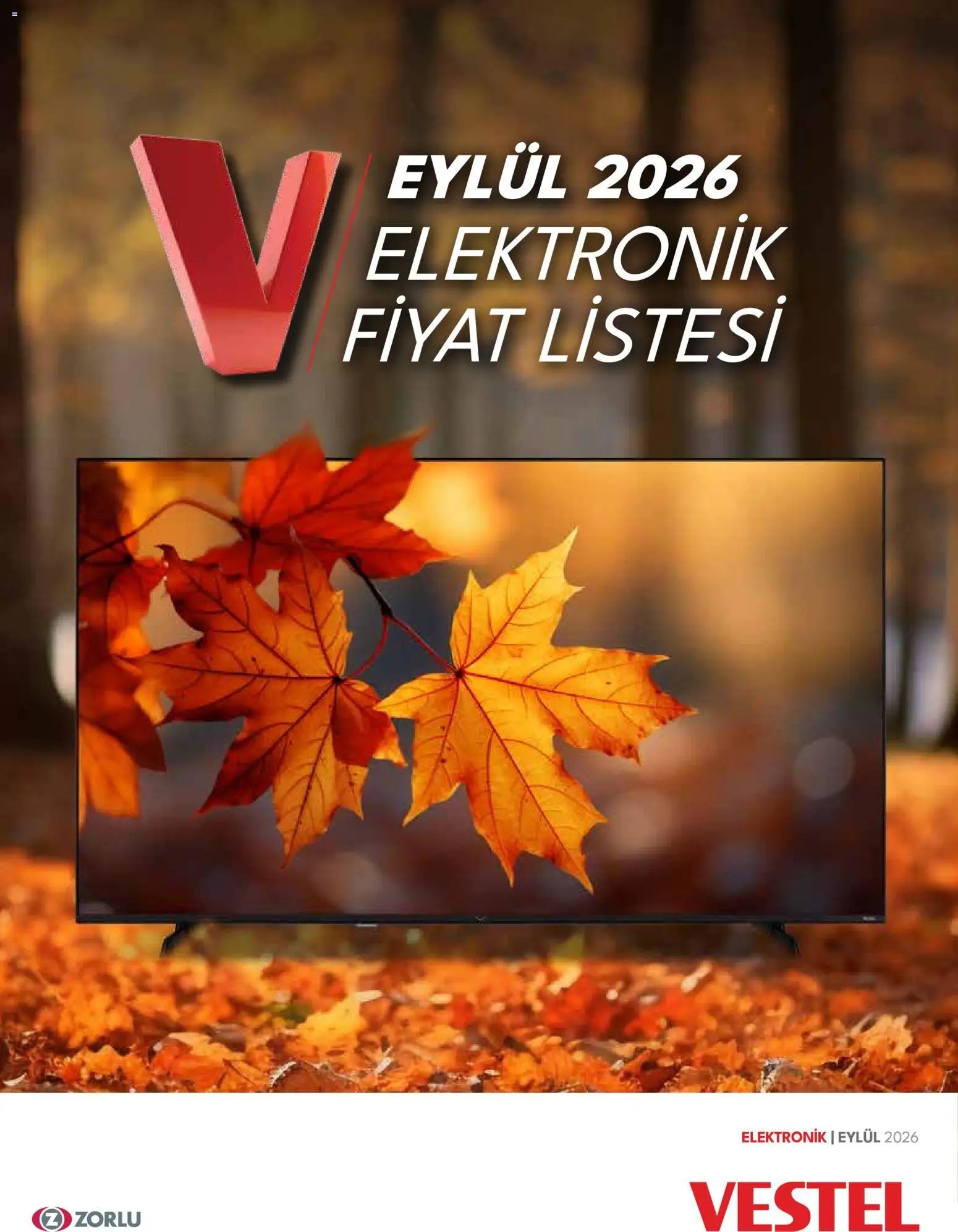 Vestel - Tüketici Elektroniği