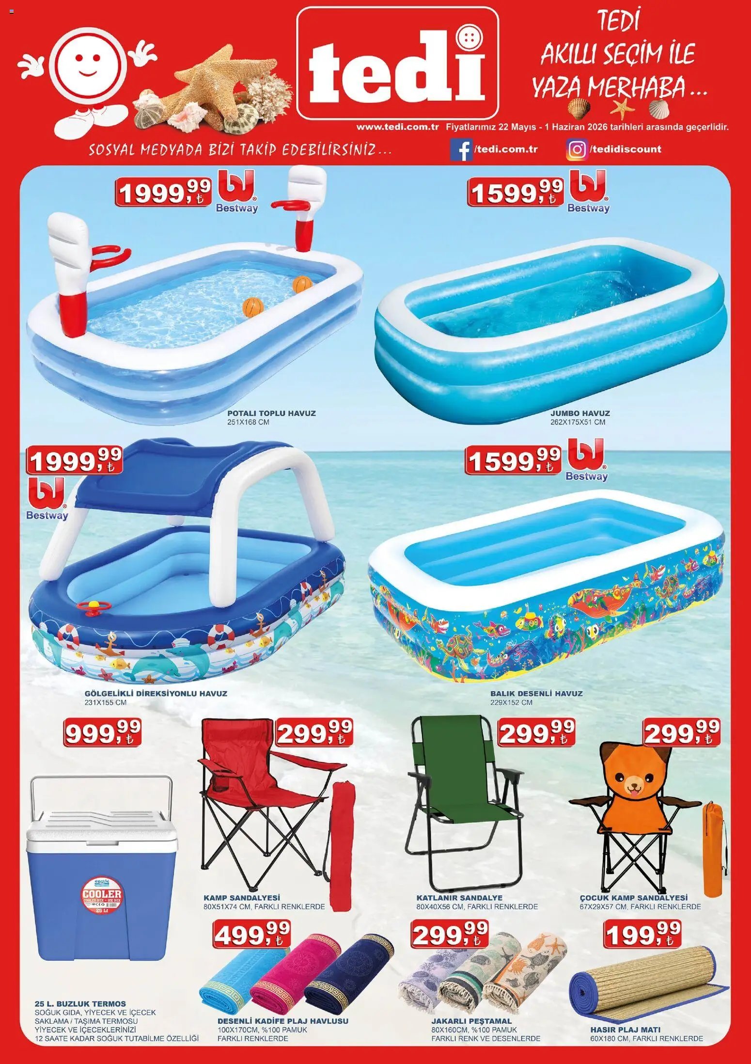 Tedi  Katalog